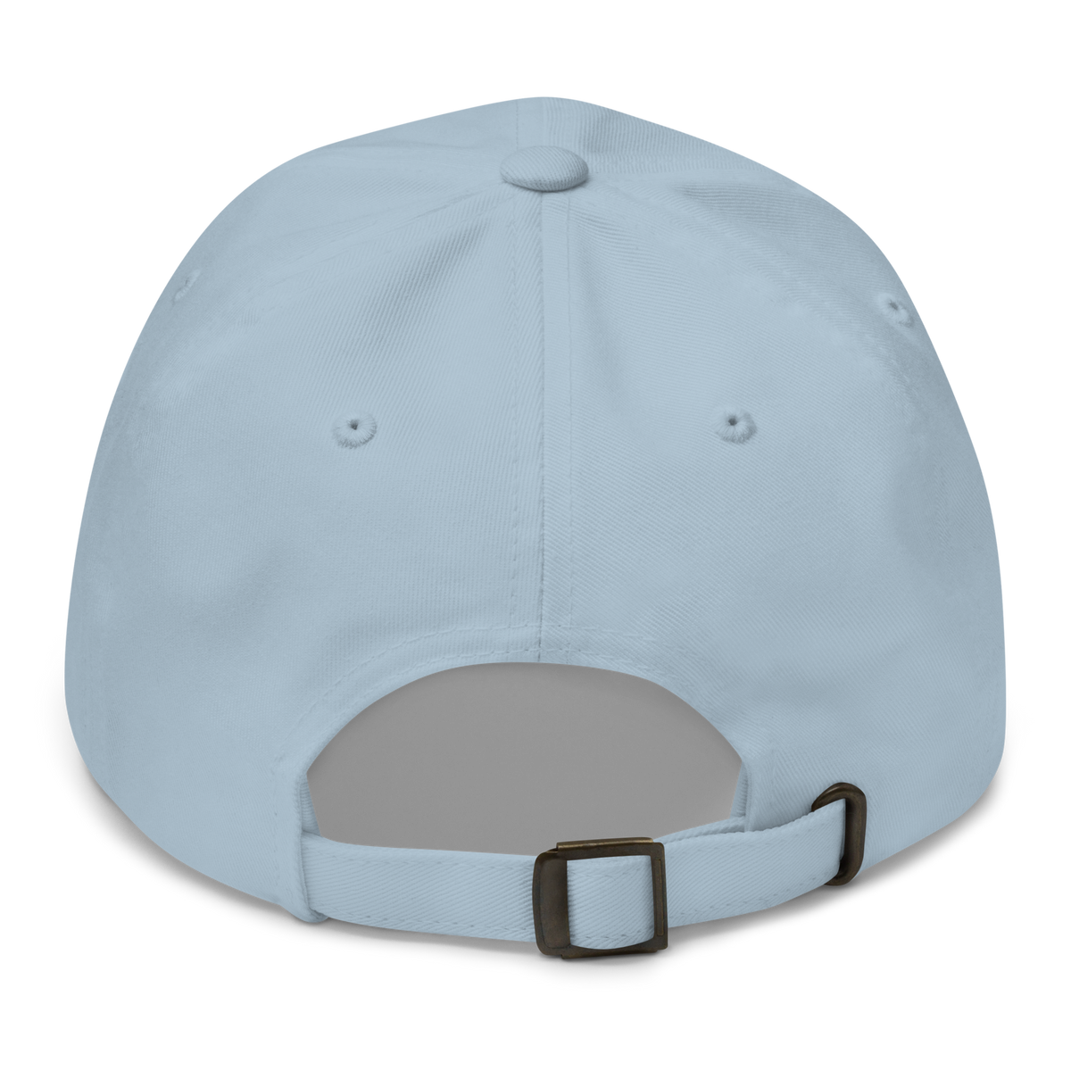 SALTYmf American Party Baseball Cap in Light Blue, back view