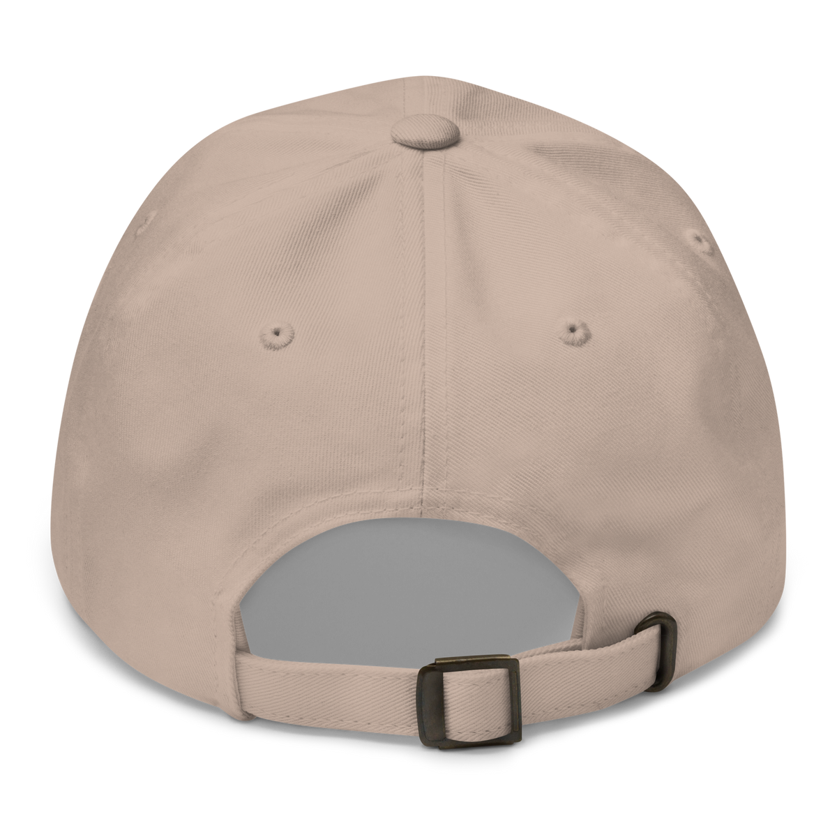 SALTYmf American Party Baseball Cap in Stone, back view