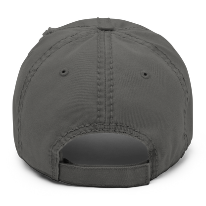 SALTYmf American Party Distressed Cap in Gray, back view