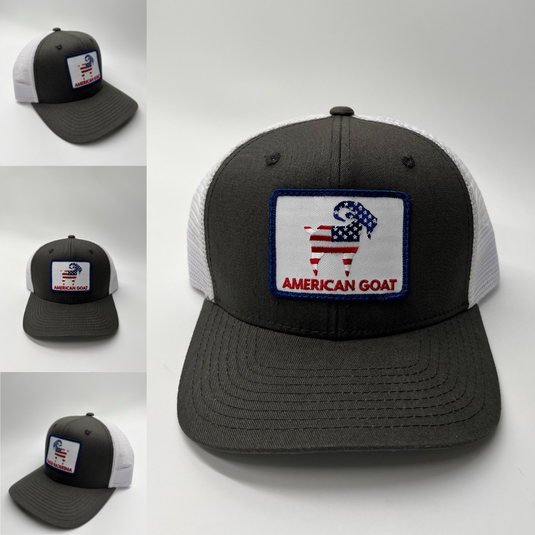 Saltymf American Goat Mile High Patch Hat