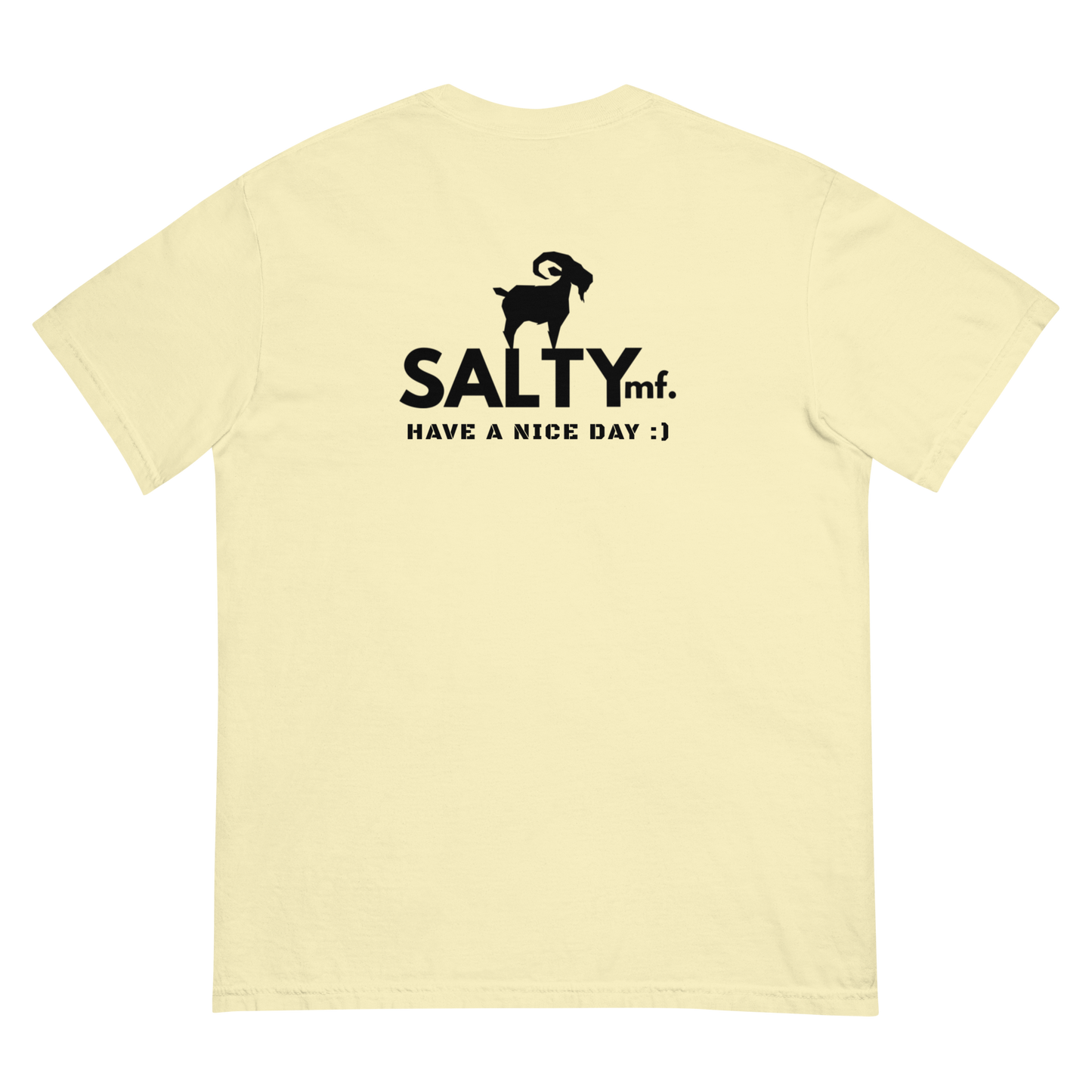 SaltyMF Have a Nice Day FU Commie Tee